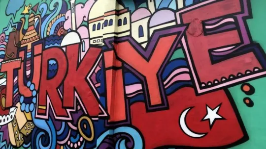 Trafolara çizilen resimlerle dünyaya mesaj verdiler