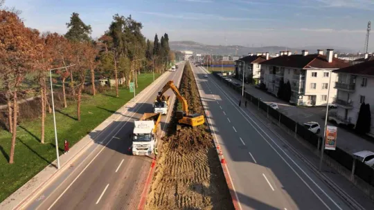Tramvay çalışmasında sökülen ağaçlar yeni yerlerinde hayat bulacak