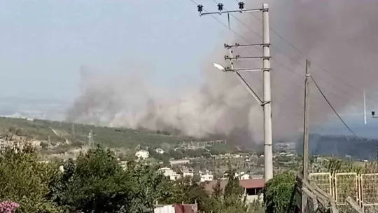TÜBİTAK'ın ormanlık alanında yangın