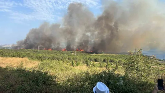 TÜBİTAK'ın ormanlık alanında yangın