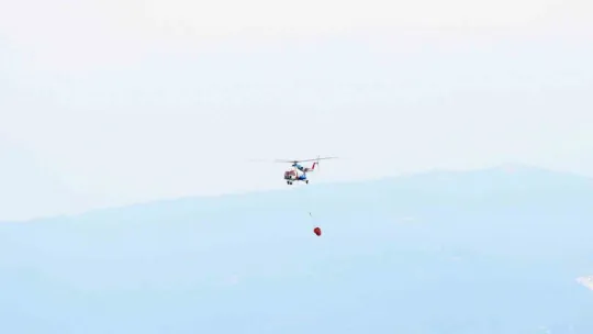 Kocaeli'deki yangında bakın ne kadar hektar alan yandı?