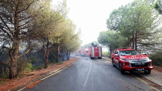 Kocaeli'deki yangında bakın ne kadar hektar alan yandı?