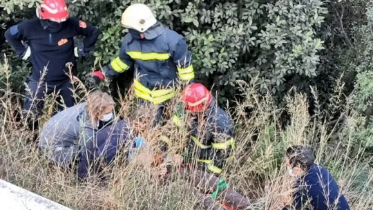 Türbeye kablo çekerken ormanlık alana yuvarlandı