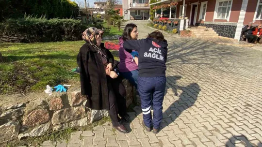 Turistleri taşıyan tur otobüsü kazadan sonra bina duvarına çarptı