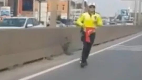 Türk polisinin bayrak sevdası: Koşarak yerden aldı