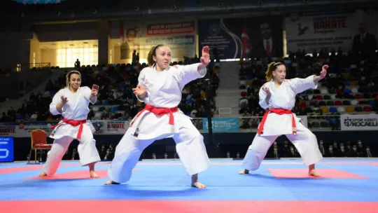 Türkiye Büyükler Karate Şampiyonası'nın açılış seremonisi yapıldı