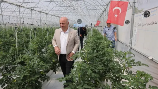 Hasat şenlikle başlayacak