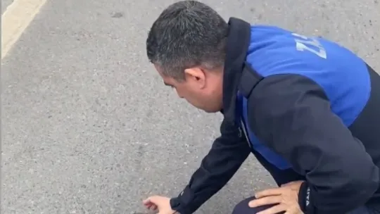 Uçamayan serçenin imdadına yetiştiler