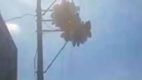 Uçan balonlar için canlarını hiçe saydılar