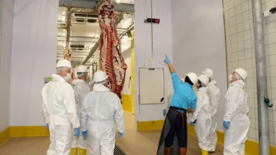 Ukraynalı heyet Kocaeli'deki mezbahaya hayran kaldı