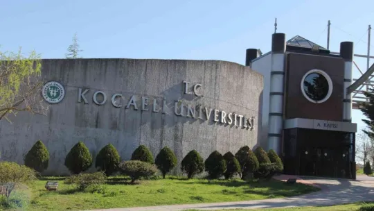 Üniversite kampüsündeki köpekler öğrencilerin kabusu oldu