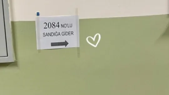 Ünlü isimler sandık başında fotoğraflarını paylaştı