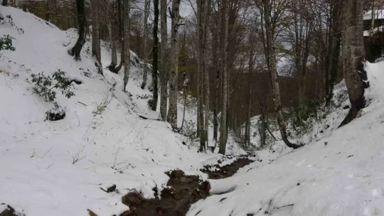 Kartepe'den kış manzarası