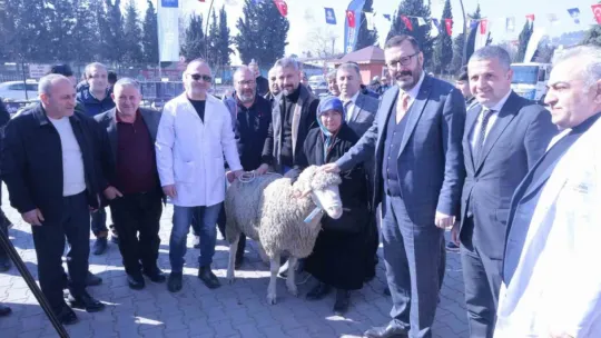Üreticiye koç ve teke desteği