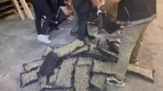 Uyuşturucu operasyonunda tırda 345 kilo skunk ele geçirildi