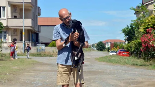 Uyuyan köpeği ezdi, arkasına bile bakmadı