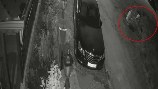 Uyuyan köpeği ezdi, arkasına bile bakmadı