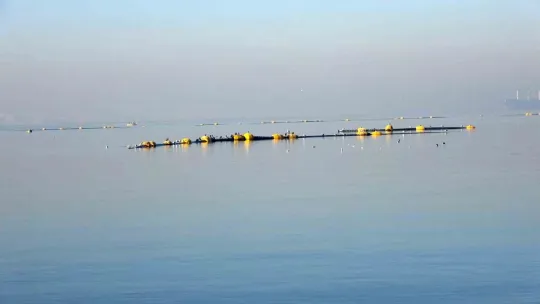 Uzmanından önemli müsilaj açıklaması: Yapmamız gereken en ivedi konu