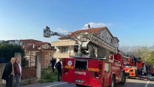 Vatandaşlar yangını meraklı gözlerle izledi