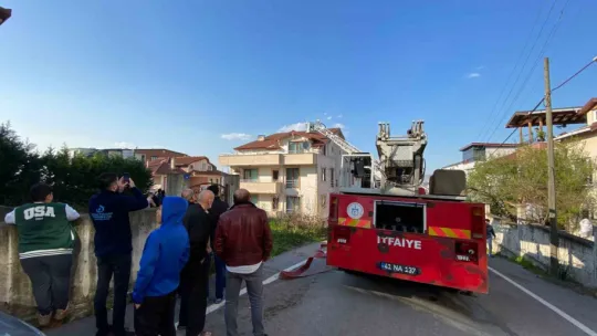 Vatandaşlar yangını meraklı gözlerle izledi