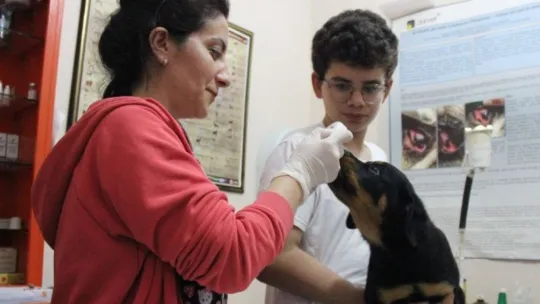 Veterinere şaşırtan soru: Kedi, köpeğe taktığınız çipi kızıma da takabilir misiniz?