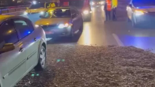 Virajı alamayan yonga yüklü tır devrildi