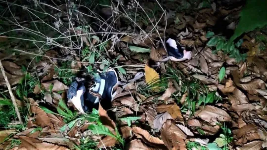 Yabancı turistlerin gezintisi faciayla bitti: 1 ölü, 2 yaralı!