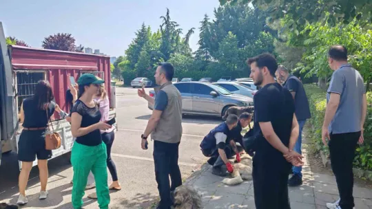 Yahya Kaptan'daki saldırgan köpeklere müdahale