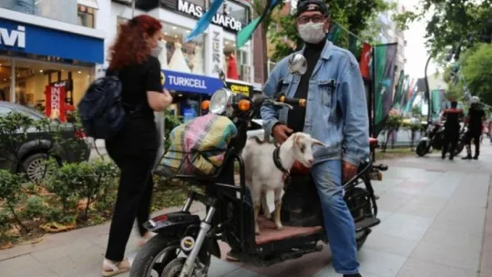 Yakın iki dostun yaşamı görenleri şaşkına çeviriyor