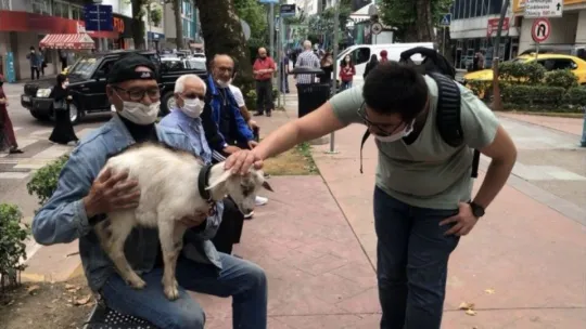 Yakın iki dostun yaşamı görenleri şaşkına çeviriyor
