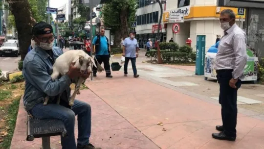 Yakın iki dostun yaşamı görenleri şaşkına çeviriyor