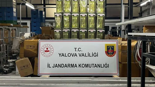 Yalova'da 33 bin litre sahte zeytinyağı ele geçirildi