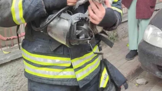 Kediyi kendi oksijen maskesiyle hayatta tuttu