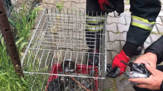 Yangında anne ve 2 çocuğu etkilendi