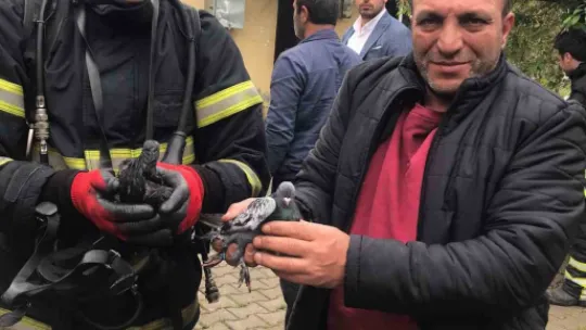 Yangında anne ve 2 çocuğu etkilendi