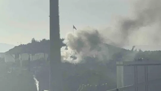 Yaşlı adamın hayatını kaybettiği yangında kahreden detay