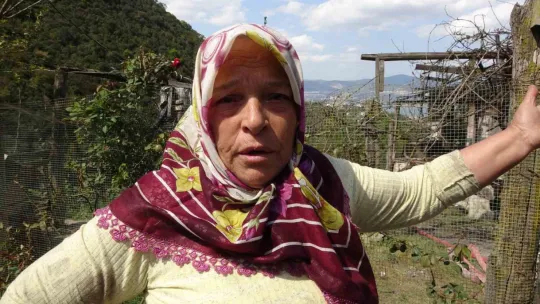 Kuyuya düşen büyükbaş hayvan bakın nasıl kurtarıldı?