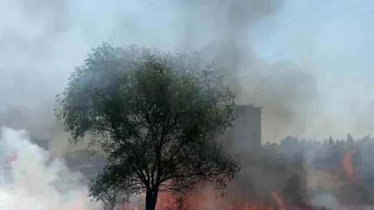 Yangının ardından utanç manzarası
