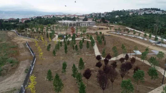 Yangının çıktığı eski enkaz döküm sahası yeşil alan dönüştü