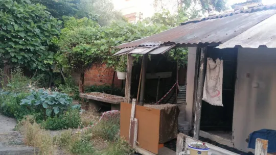 Çıktığı asmadan düşerek hayatını kaybetti