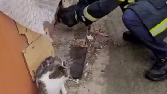 Motor kısmına girdi itfaiye ekiplerini terletti