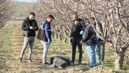 Yaşlı adam elma bahçesinde ölü bulundu