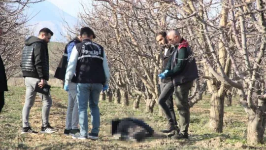Yaşlı adam elma bahçesinde ölü bulundu