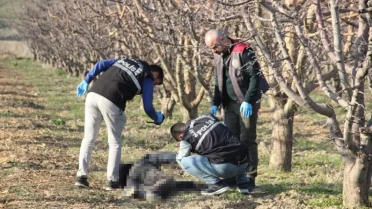 Yaşlı adam elma bahçesinde ölü bulundu