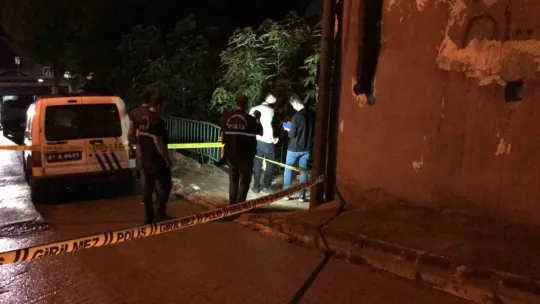 Yaşlı adam kalbinden bıçaklanmıştı, sanığın şizofren ve bipolar hastası olduğu iddia edildi