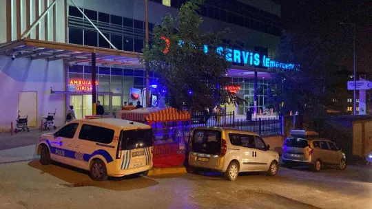 Yaşlı adam oğlu tarafından bıçaklanarak öldürüldü