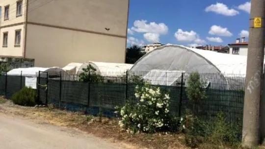 Yaşlı adamın ölümüyle ilgili kan donduran iddia!