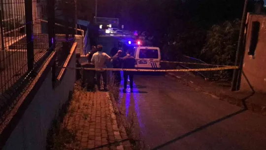 Yatalak karısının çığlıklarıyla cinayet ortaya çıktı