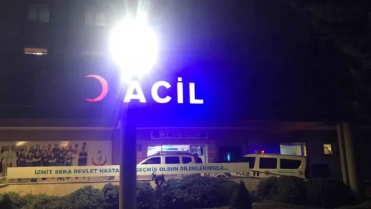 Yatalak karısının çığlıklarıyla cinayet ortaya çıktı