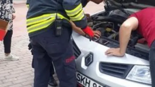 Yavru kedi bakın nereye sıkıştı